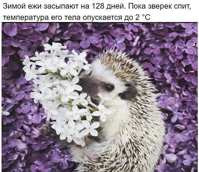    - 7