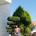 ���� ������, ����, 54 ���� - ��������� 18 ������� 2017 � ������ ���� ����������