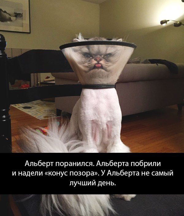   - 5