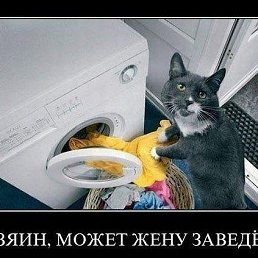 �������, ������ ��������, 44 ����