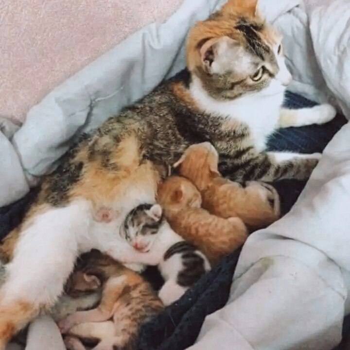 -,       -   ,   ... - 8