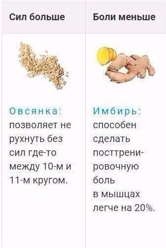 Идеальные продукты для тех, кто занимается в спортом - 2