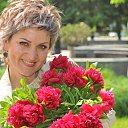 ���� �����, ��������� - ��������� 10 ��� 2017 � ������ ���� ����������