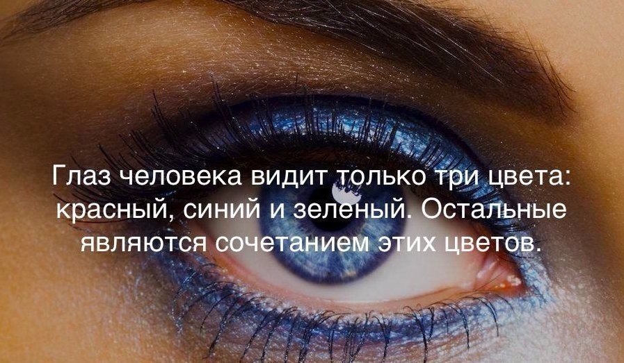   :    - 13  2017  21:42