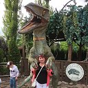  , -, 56  -  11  2017    