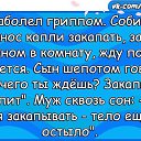 ���� ���������, ������ - ��������� 15 ���� 2017 � ������ ������ ��������