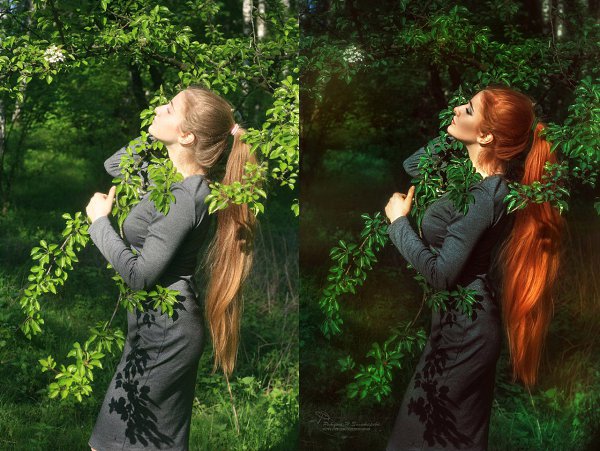 Основы обработки фотографии.Обучаем обрабатывать фотографии: с нуля до коммерческого уровня. Даже ... - 2
