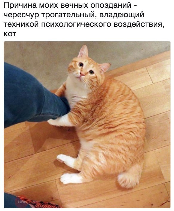       - 10  2017  18:07