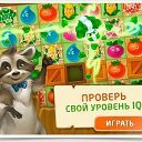 ���� ��������, �����-��������� - ��������� 18 �������� 2017 � ������ ������ ��������