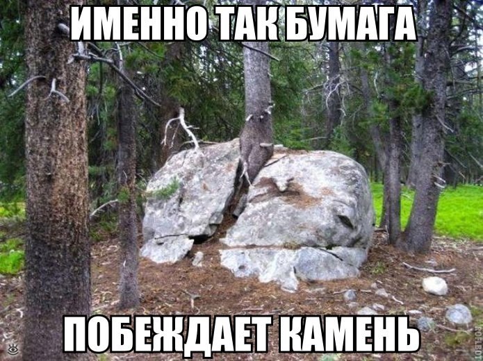    :D - 7  2017  21:34