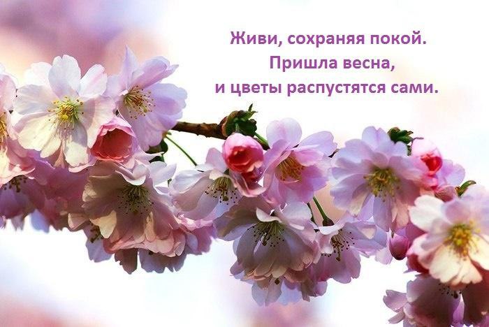     - 13  2017  16:01