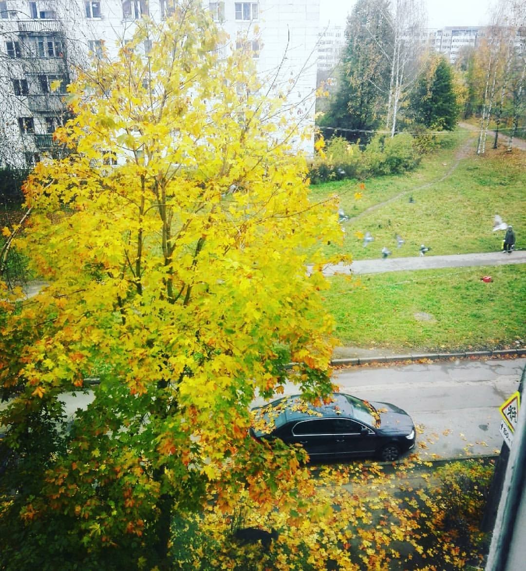 # #autumn