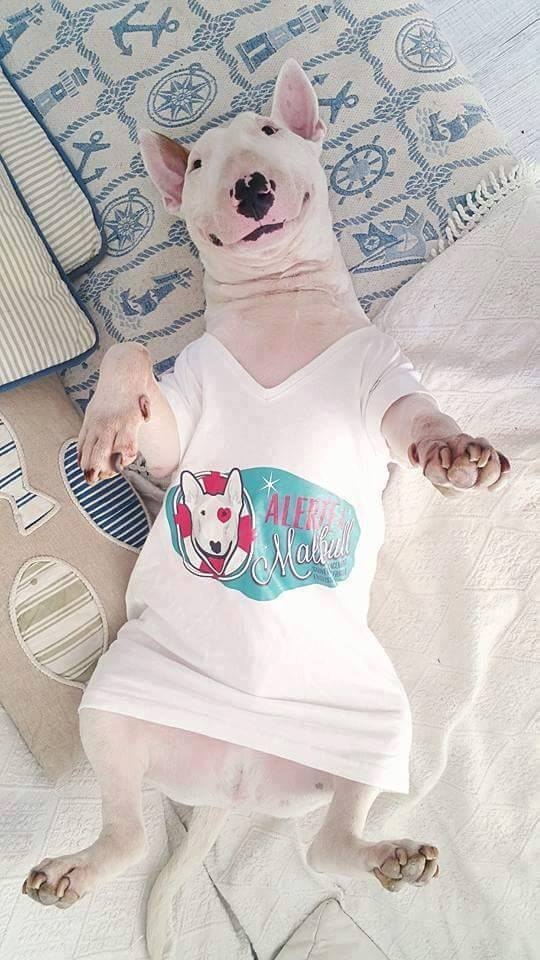 Добрый день всем жителям Буле-Городка ))).Для новых участников группы и для всех кто ищет полезную ...