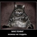 ���� ���������, ������, 50 ��� - ��������� 26 �������� 2017 � ������ ���� ����������