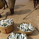 ���� ����� �������, ������-��-����, 49 ��� - ��������� 12 ������ 2017 � ������ ���� ����������