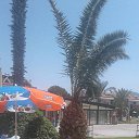  , , 59  -  13  2017   Mobile Uploads