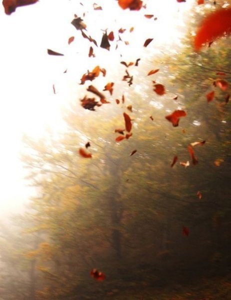 ������� | ���� 2016 | ������ | �������� | ������ - 20 ������� 2017 � 13:38 - 4