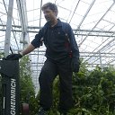 ���� �������, ���������������, 50 ��� - ��������� 15 ��� 2017 � ������ �������