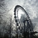 ���� �����, ������, 39 ��� - ��������� 8 ���� 2017 � ������ ���� ����������