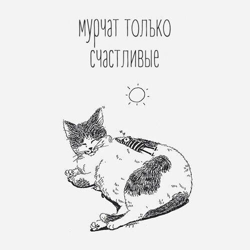    - 10  2017  13:18 - 2