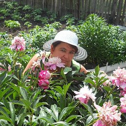 �������, ����������, 48 ���