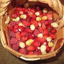 ���� �������, �����, 65 ��� - ��������� 16 ���� 2017 � ������ ���� ����������