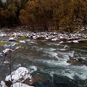 ���� �����, ����������, 53 ���� - ��������� 8 ������� 2017 � ������ ���� ����������