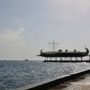  , , 60  -  16  2017    -, 2017