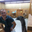 ���� ������, �����-���������, 49 ��� - ��������� 31 ��� 2017