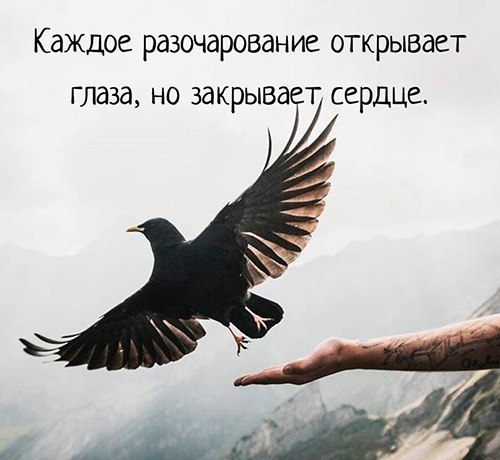 .. - 10  2017  23:43