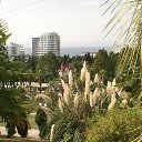 ���� Yurii, ���� - ��������� 12 ���� 2017 � ������ ���� ����������