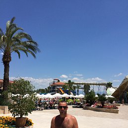 �����, ������, 41 ���