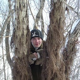 �������, ���������, 41 ���