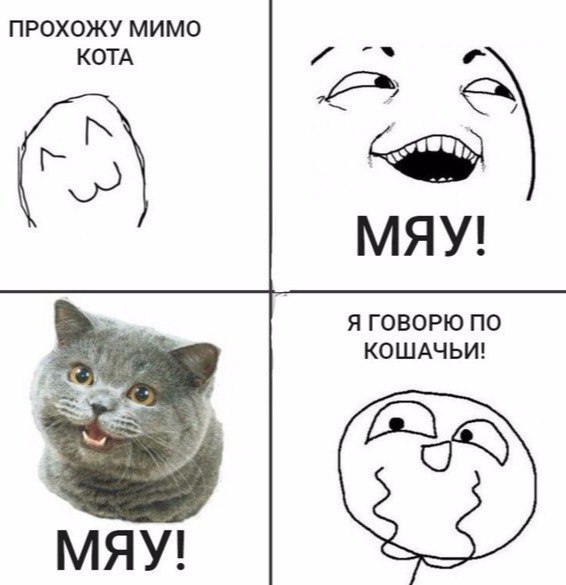 Котик мяу песня
94
