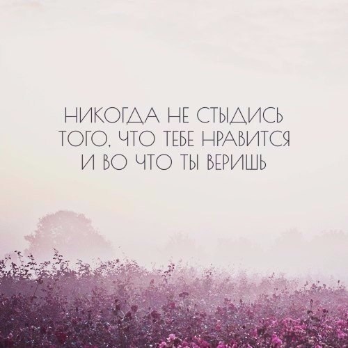  | ,  - 26  2017  16:50
