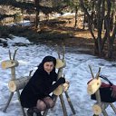 ���� �������, �����������, 57 ��� - ��������� 21 ������ 2017 � ������ ���� ����������