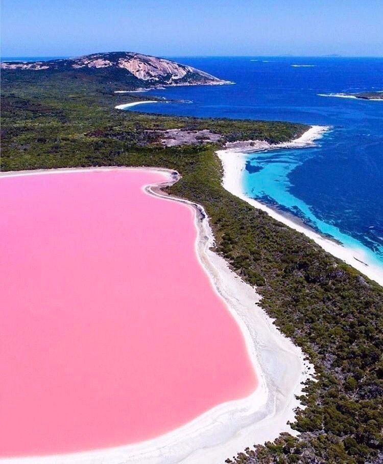   Pink Salt Lake, Western Australia