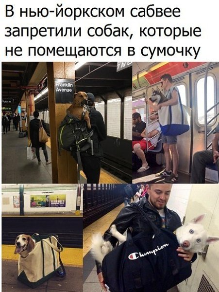   - 10  2017  11:11