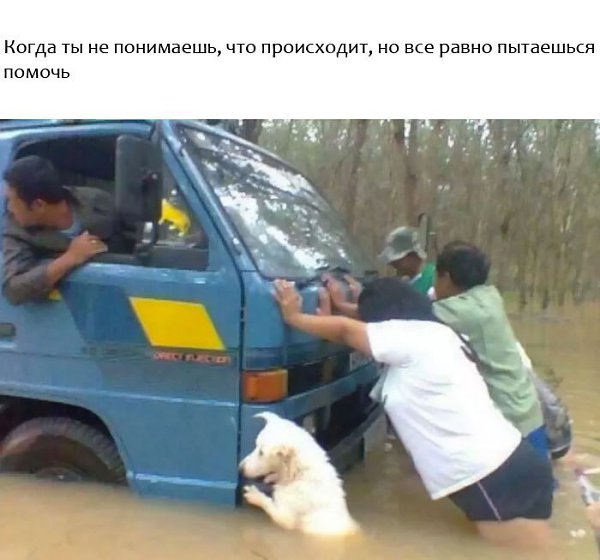 9 счастливых животных, с которых нужно начинать свой день. - 3