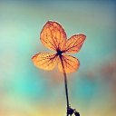 ���� �������, ������, 75 ��� - ��������� 5 ������� 2017 � ������ ���� ����������