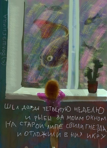   - 14  2017  05:03