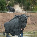 ���� ���, ������, 56 ��� - ��������� 11 �������� 2017 � ������ ���� ����������