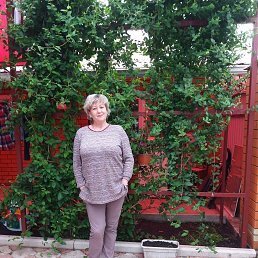 �����, �����-���������, 61 ���