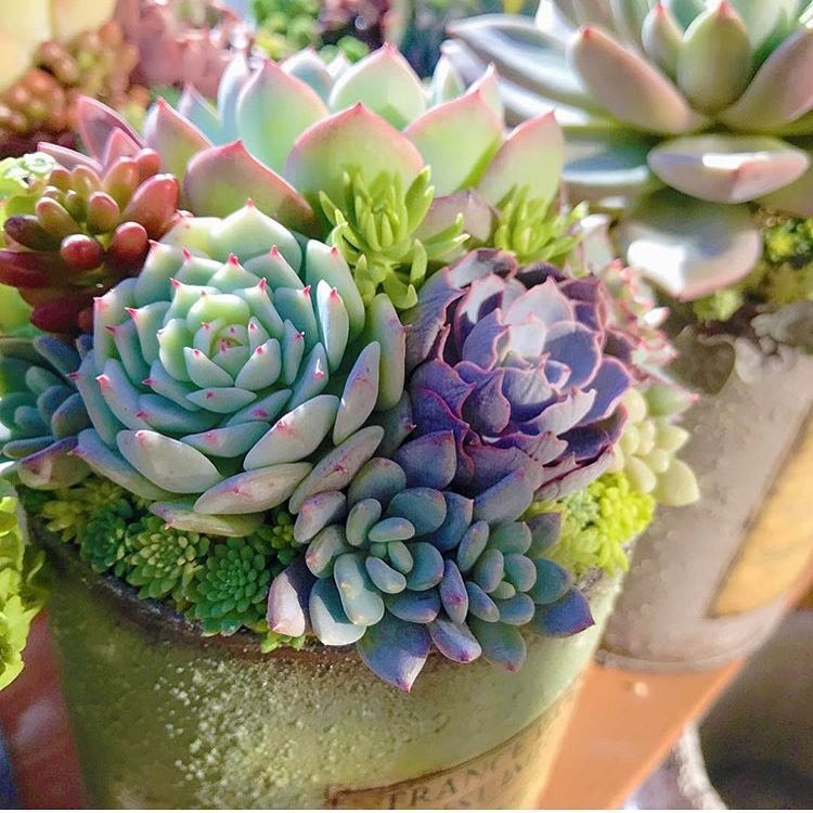 #@elehandmade.fairyblooms - 5