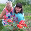  ,  , 53  -  25  2017    