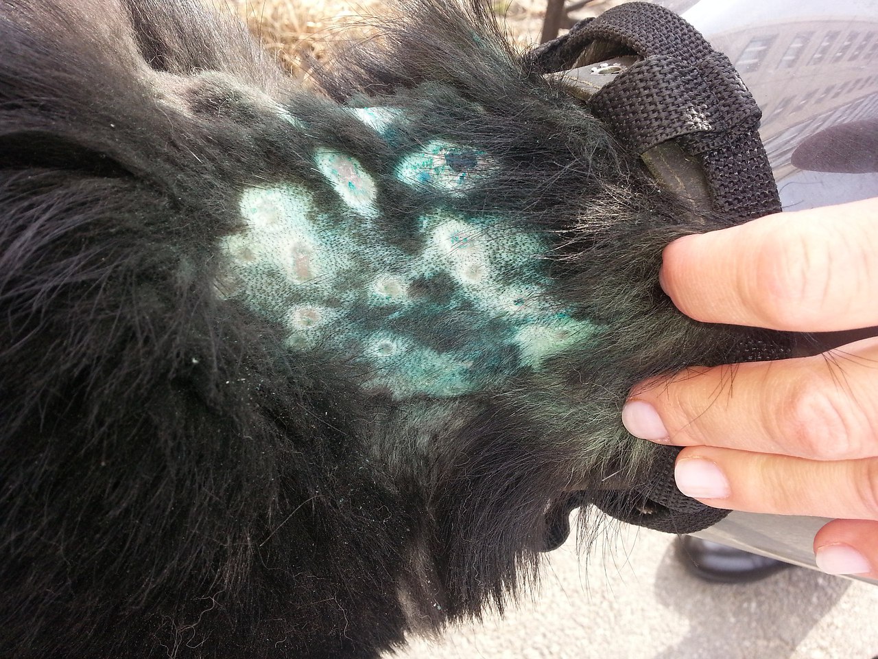 -  .   !   ,   ,   ,  ... - 5