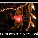 ���� Crazy, �����-���������, 45 ��� - ��������� 13 ������ 2017 � ������ ������ ��������