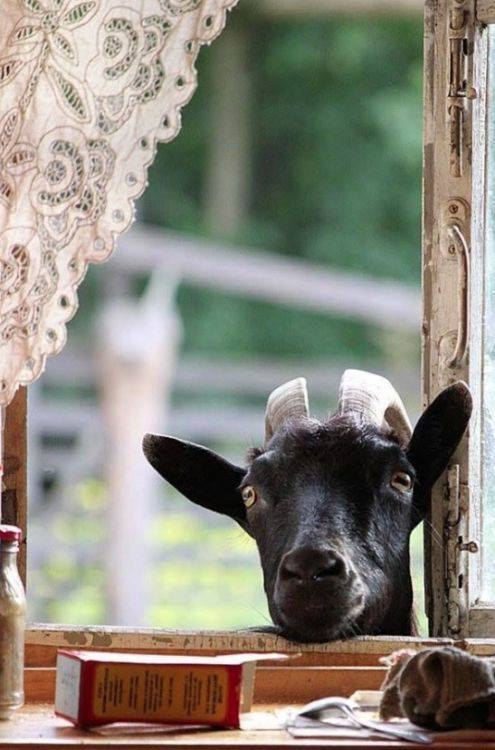 �. ��� ��Ǩ� �� �������???