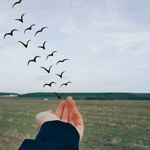 — Расстояние оно не вечно. Я же умница, я дождусь с тобой встречи.