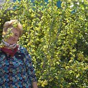 ���� �����, �����-��-����, 68 ��� - ��������� 7 ��� 2017 � ������ ���� ����������